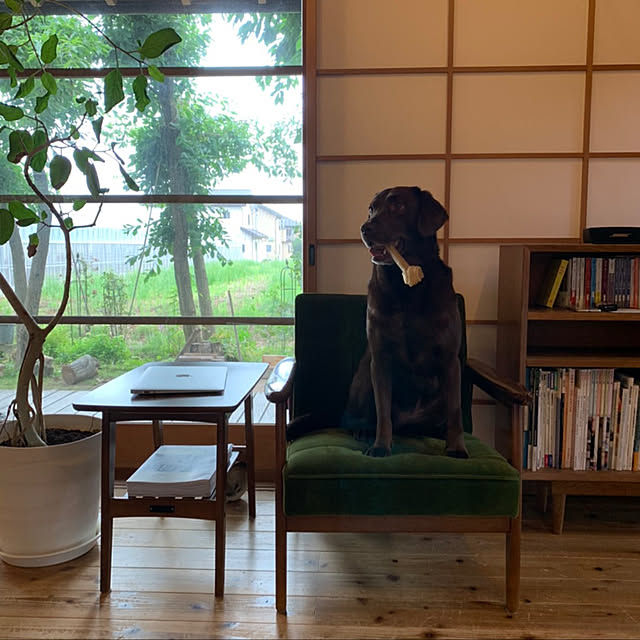 yukikoさんの実例写真