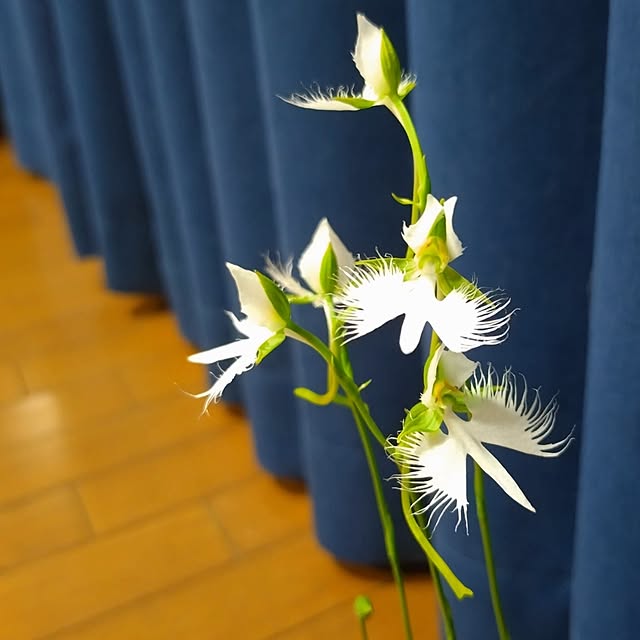 NOAHさんの実例写真