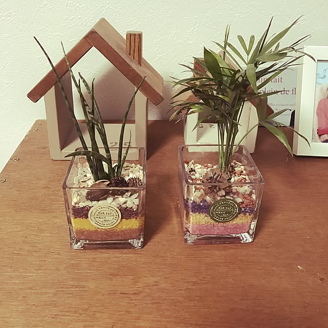 yocaさんの実例写真