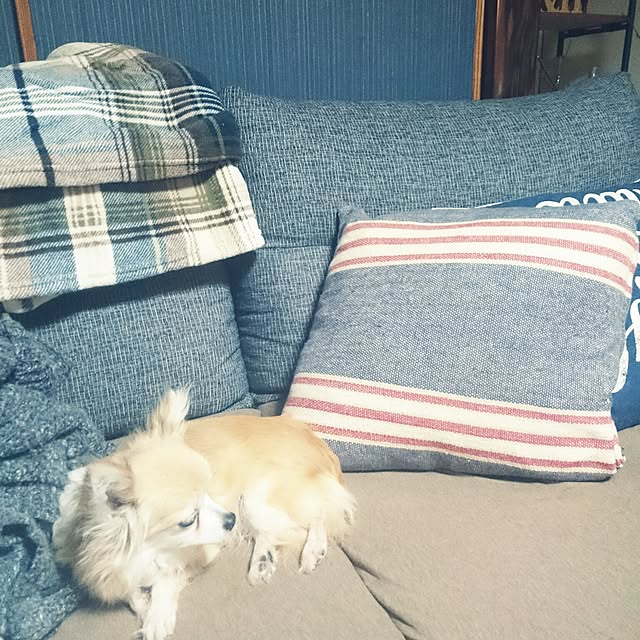 mizuさんの実例写真