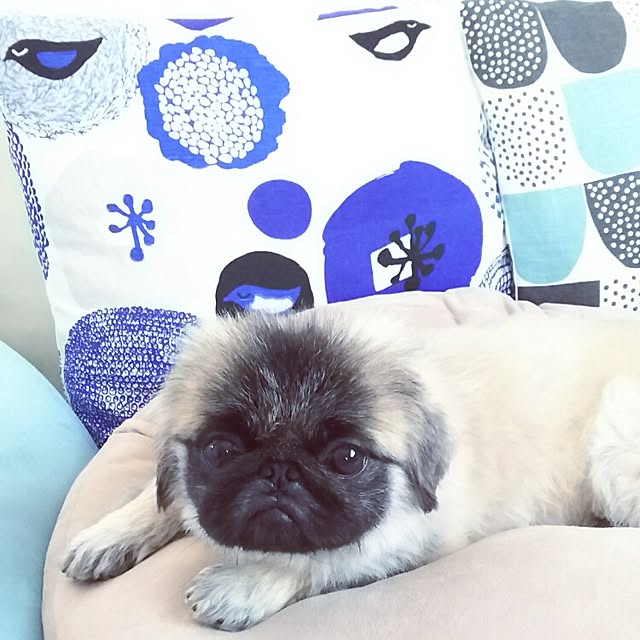 miruban1010さんの実例写真