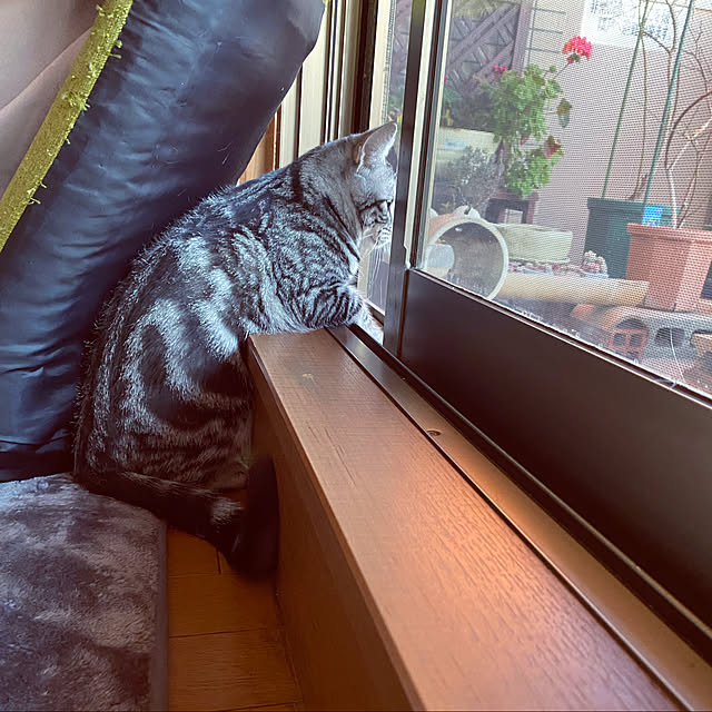 yuzuaoさんの実例写真