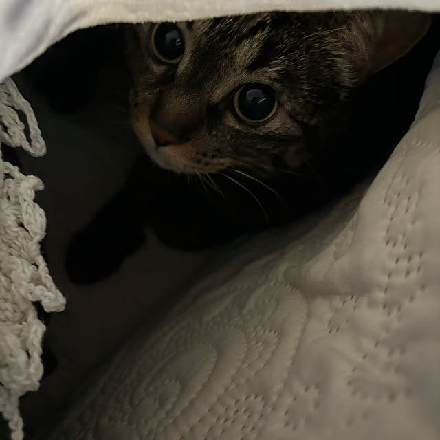 momocchiさんの部屋