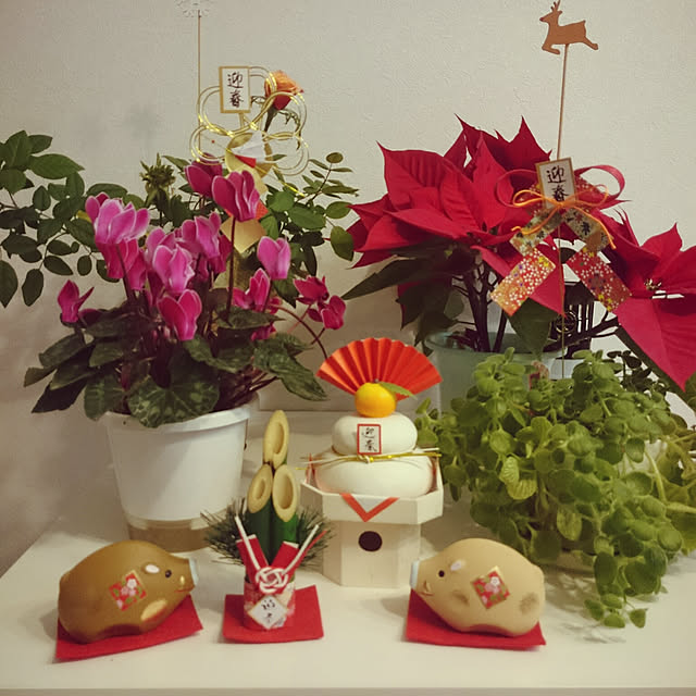 実例写真