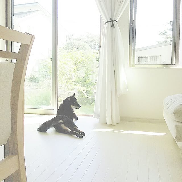 mayuさんの実例写真