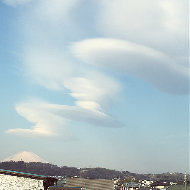 実例写真