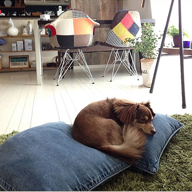 rikakoさんの実例写真