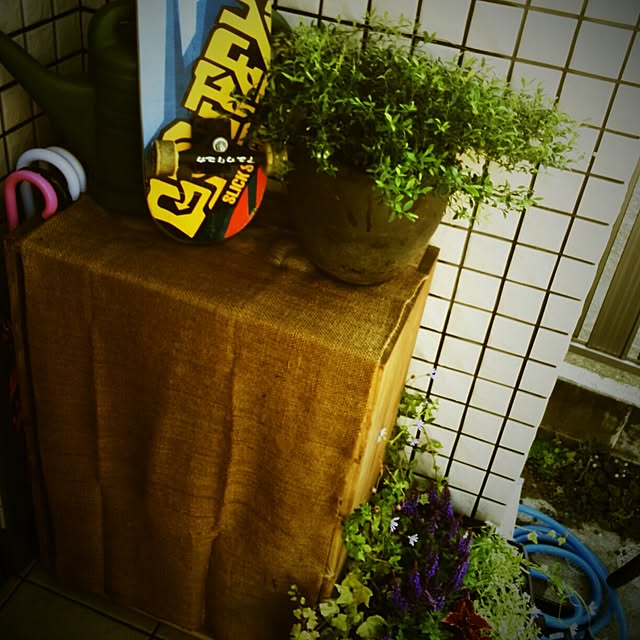 ayuさんの実例写真