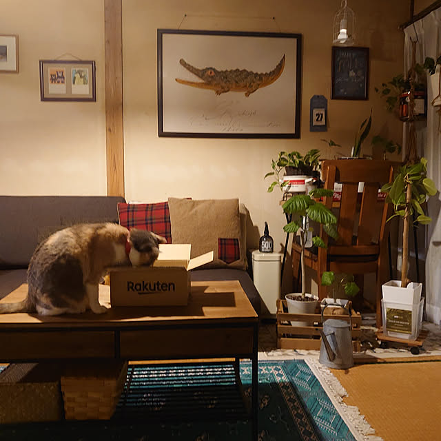 fukuさんの実例写真