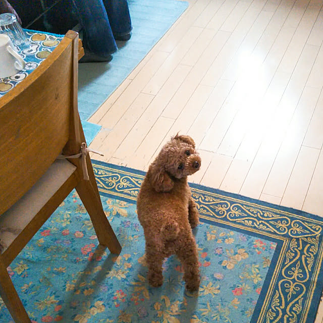 ribbonさんの実例写真