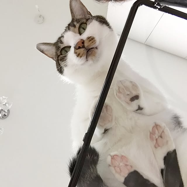 yuchiさんの実例写真