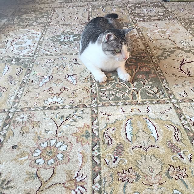 emmyyさんの実例写真