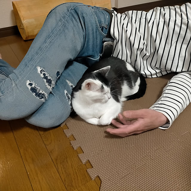 sachimaruさんの実例写真