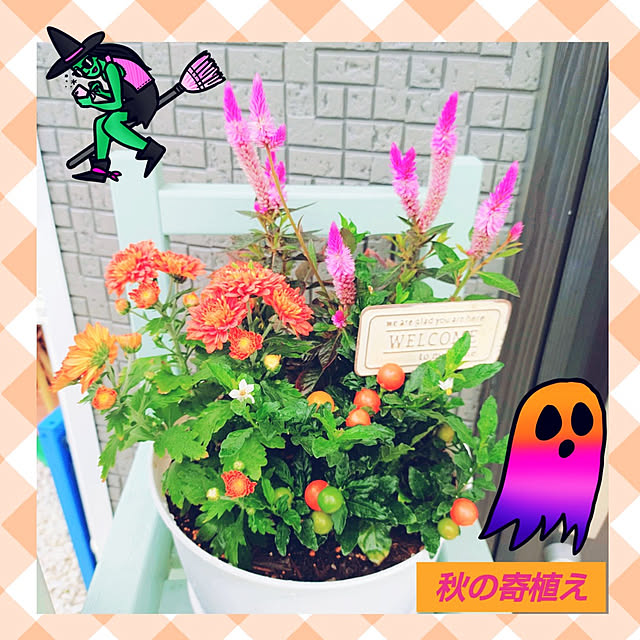 Miyumamaさんの実例写真