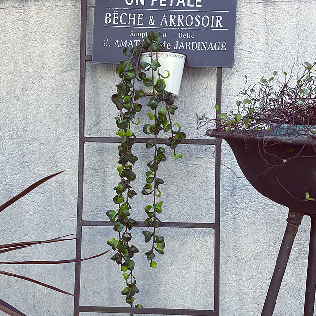 maimai0110さんの部屋