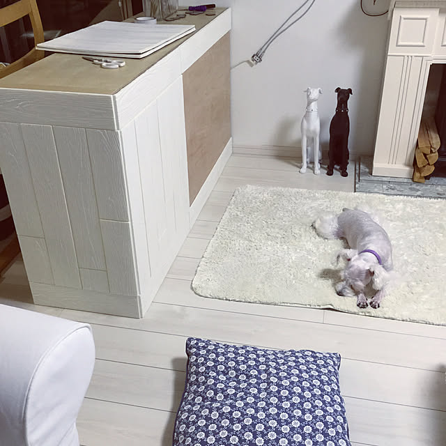 suzyさんの実例写真