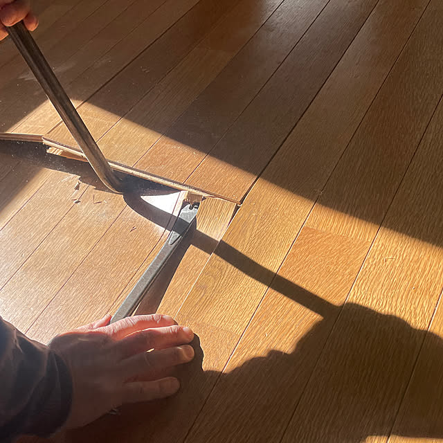 yunroomさんの部屋
