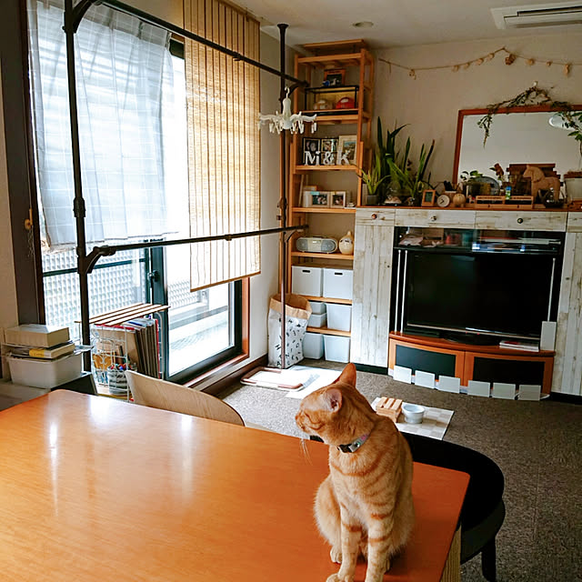 kikiさんの実例写真
