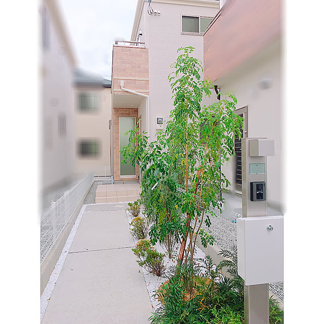 amonaさんの実例写真