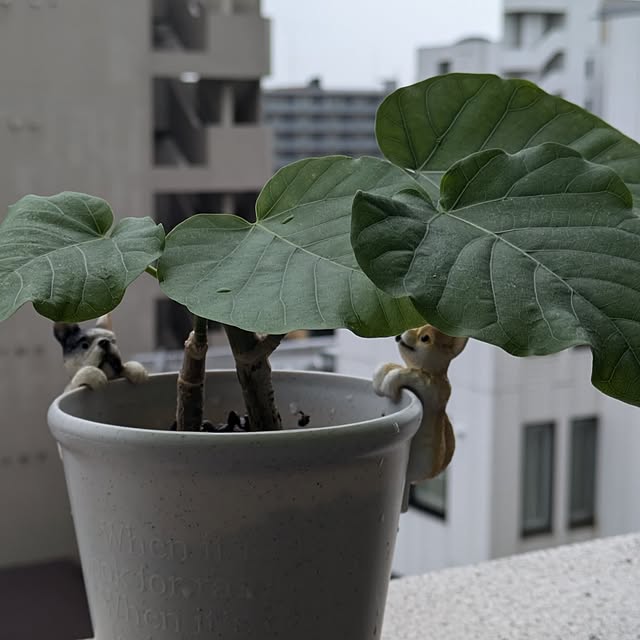 monnさんの部屋