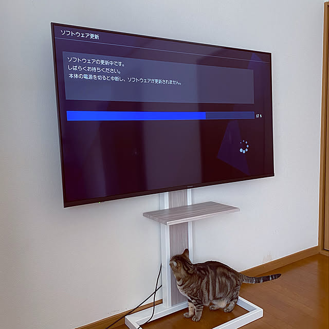 cat-number9さんの実例写真