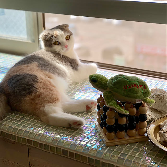 runtenさんの実例写真