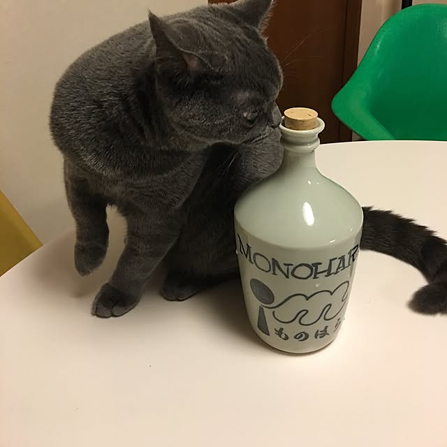 Shojiさんの実例写真