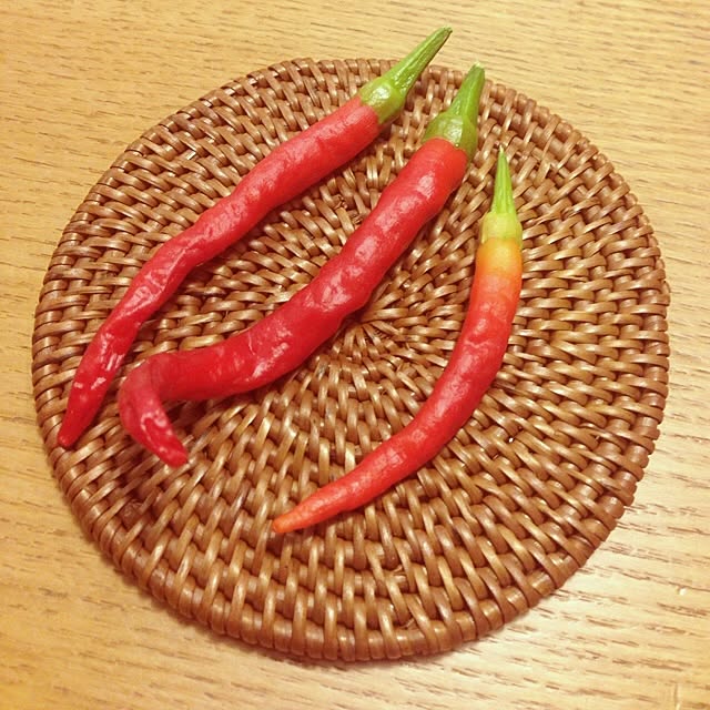 noon88さんの実例写真