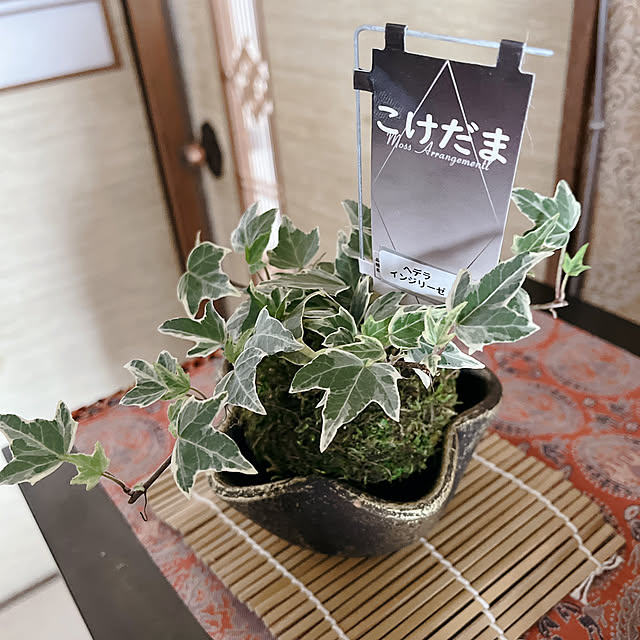 eshinobumさんの部屋