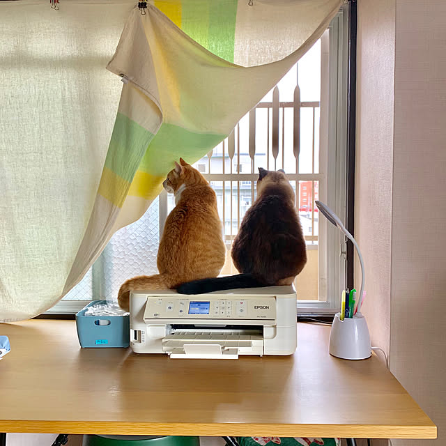 73さんの実例写真
