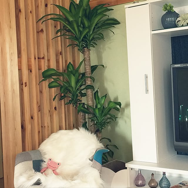 rie.ex77さんの実例写真