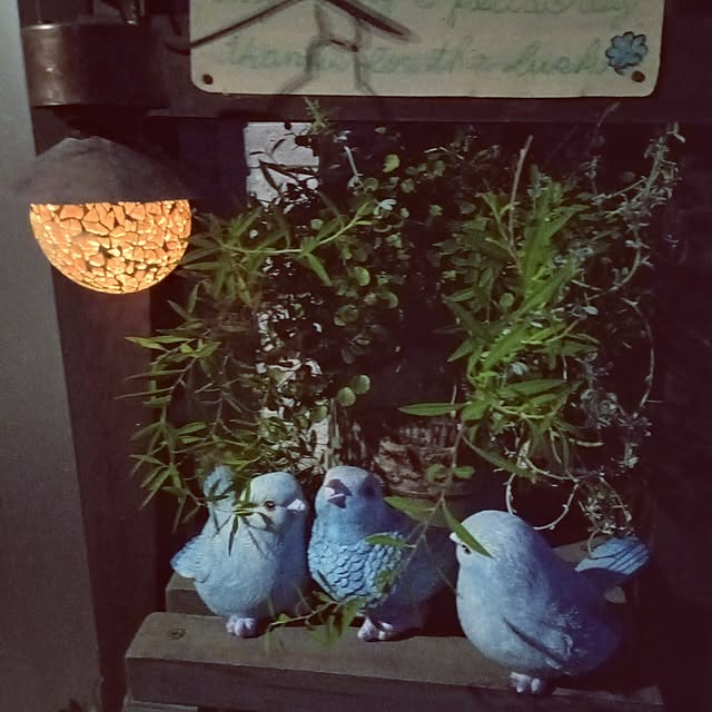 mocomocoさんの実例写真