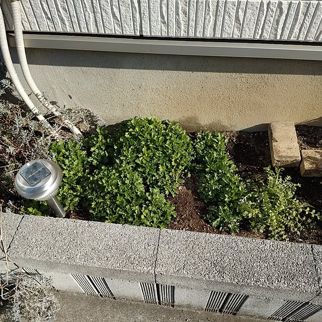 coconathuさんの部屋