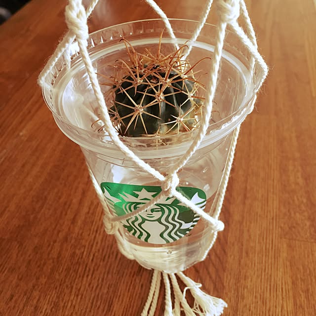 aohanaさんの実例写真