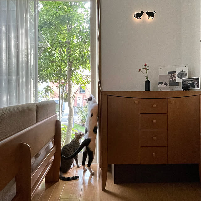nobikoさんの実例写真