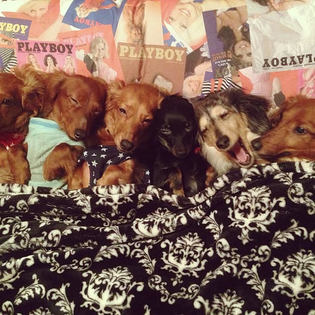 roxanneさんの実例写真