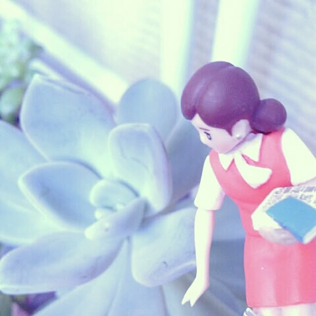akr29さんの実例写真