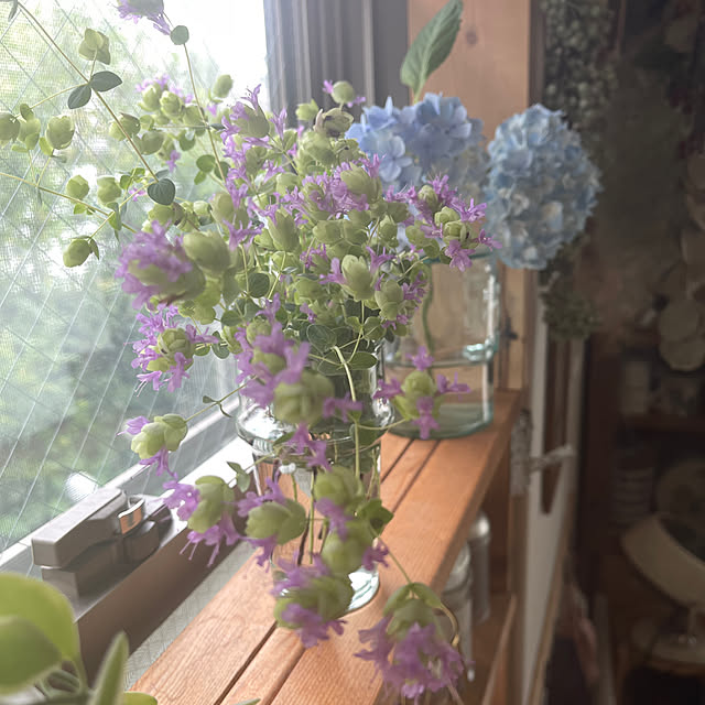 nikoさんの部屋