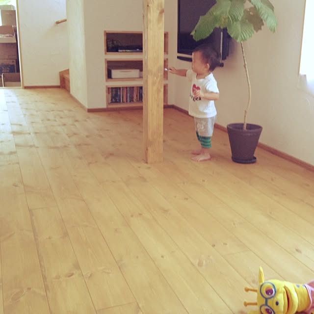 実例写真