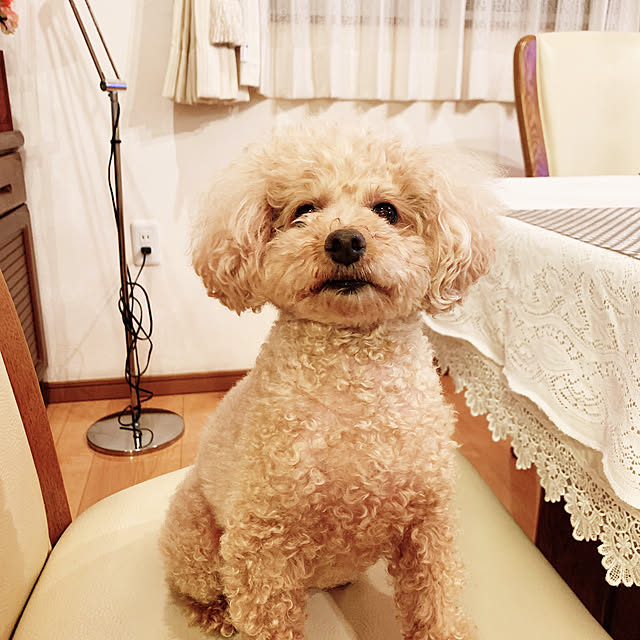 Momoさんの実例写真