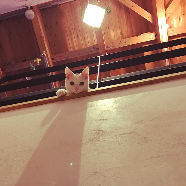 sakurasakuさんの実例写真