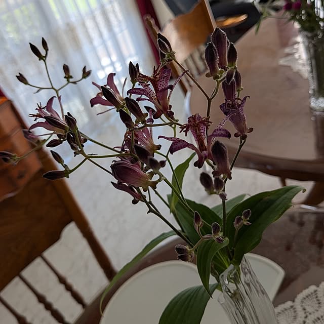 machikomamaさんの実例写真