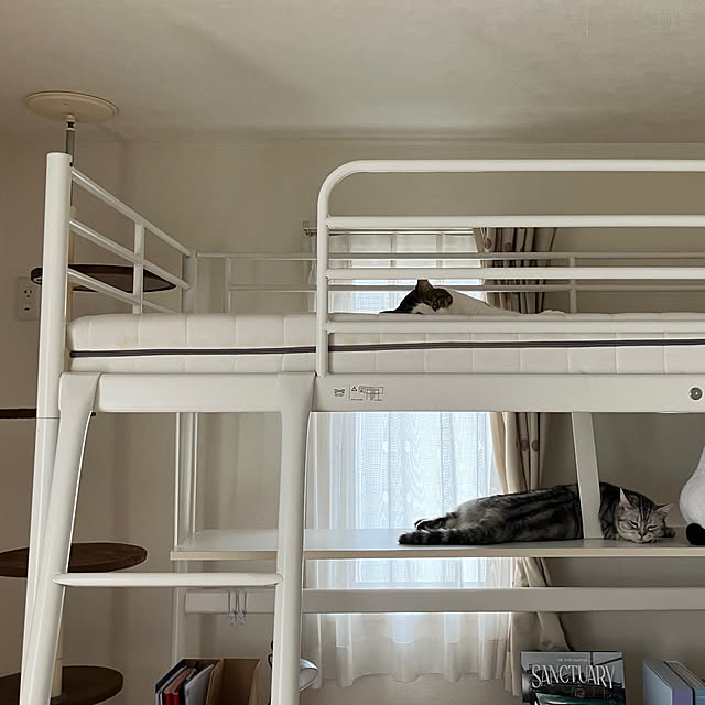 RARAさんの部屋