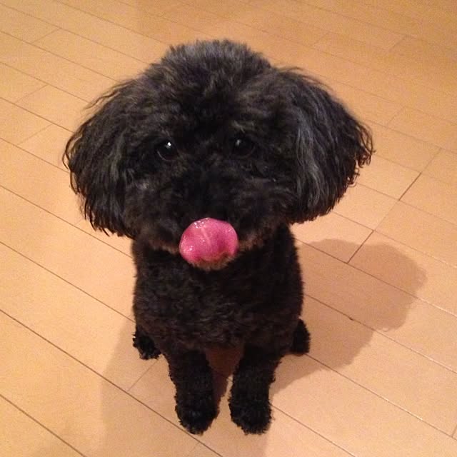 SADAさんの実例写真