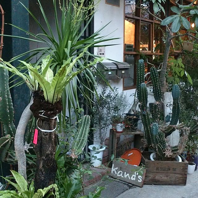 sugirokuさんの実例写真