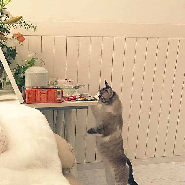 gingerwynksさんの実例写真