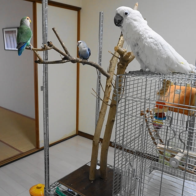 aromameさんの実例写真