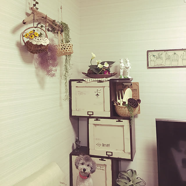 meguko.ryanさんの実例写真