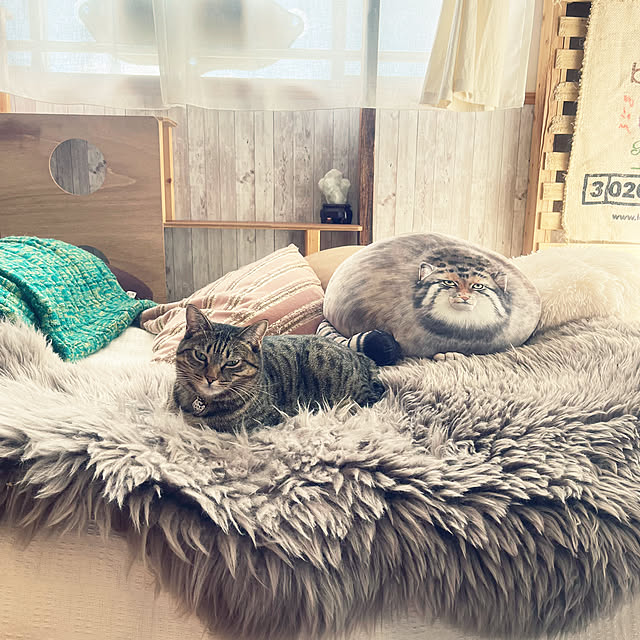 Mさんの部屋