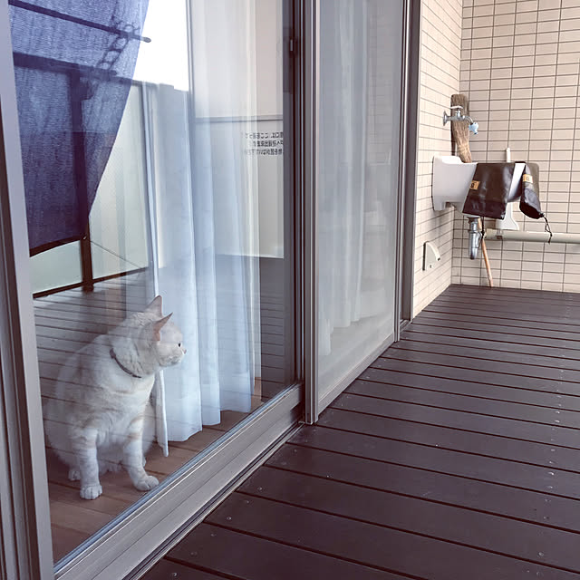hiyupan88さんの実例写真